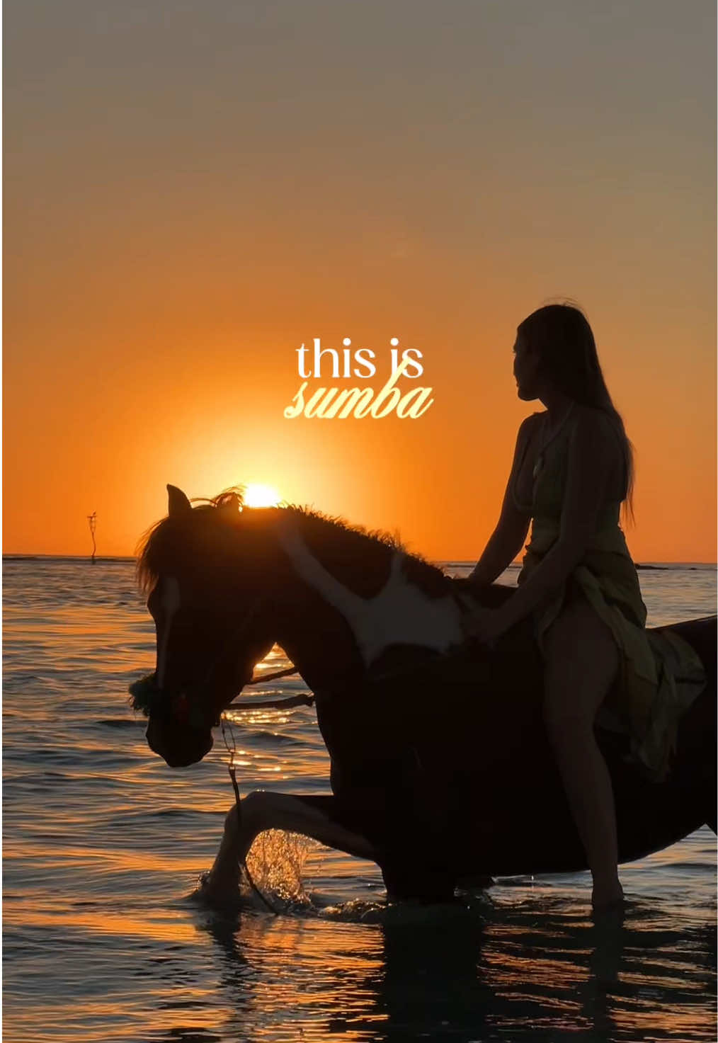 @Aimee Bell - Travel & Life