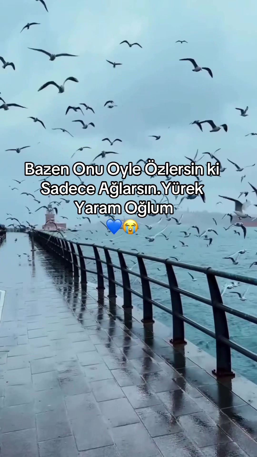 @əlifan