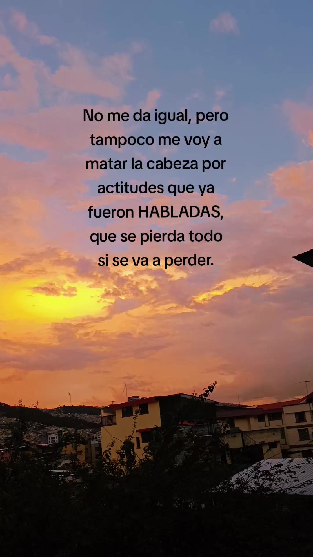 @Andre 🌸