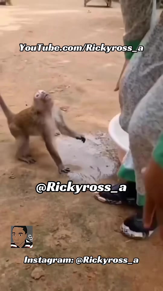 @Rickyross_a