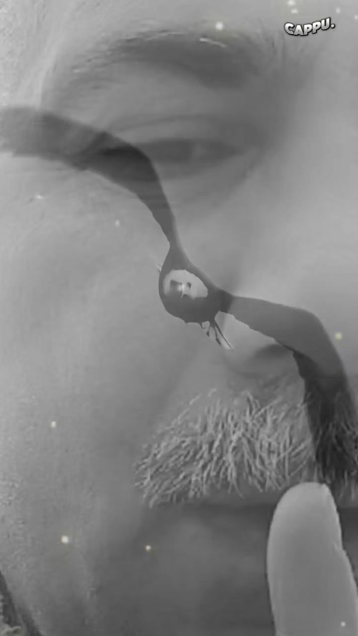 @Yılmaz &Ccedil;ELİK