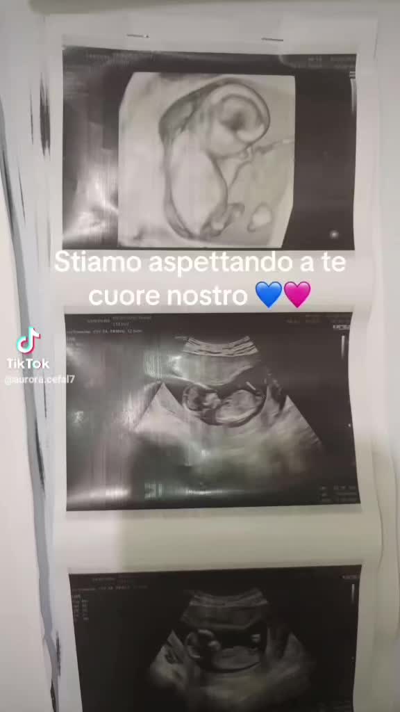 @giuseppeluguori