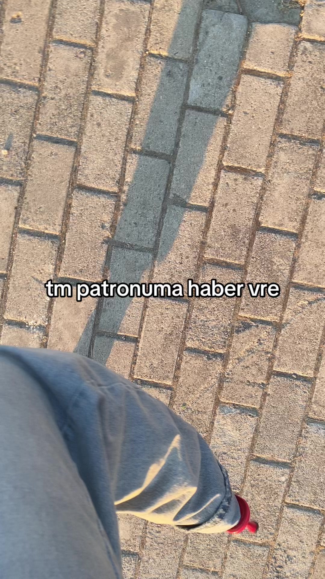 @Eylül Çolak