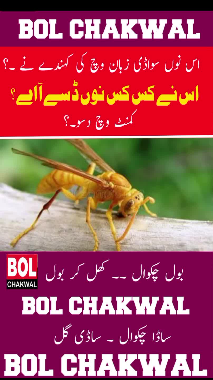 @BOL CHAKWAL
