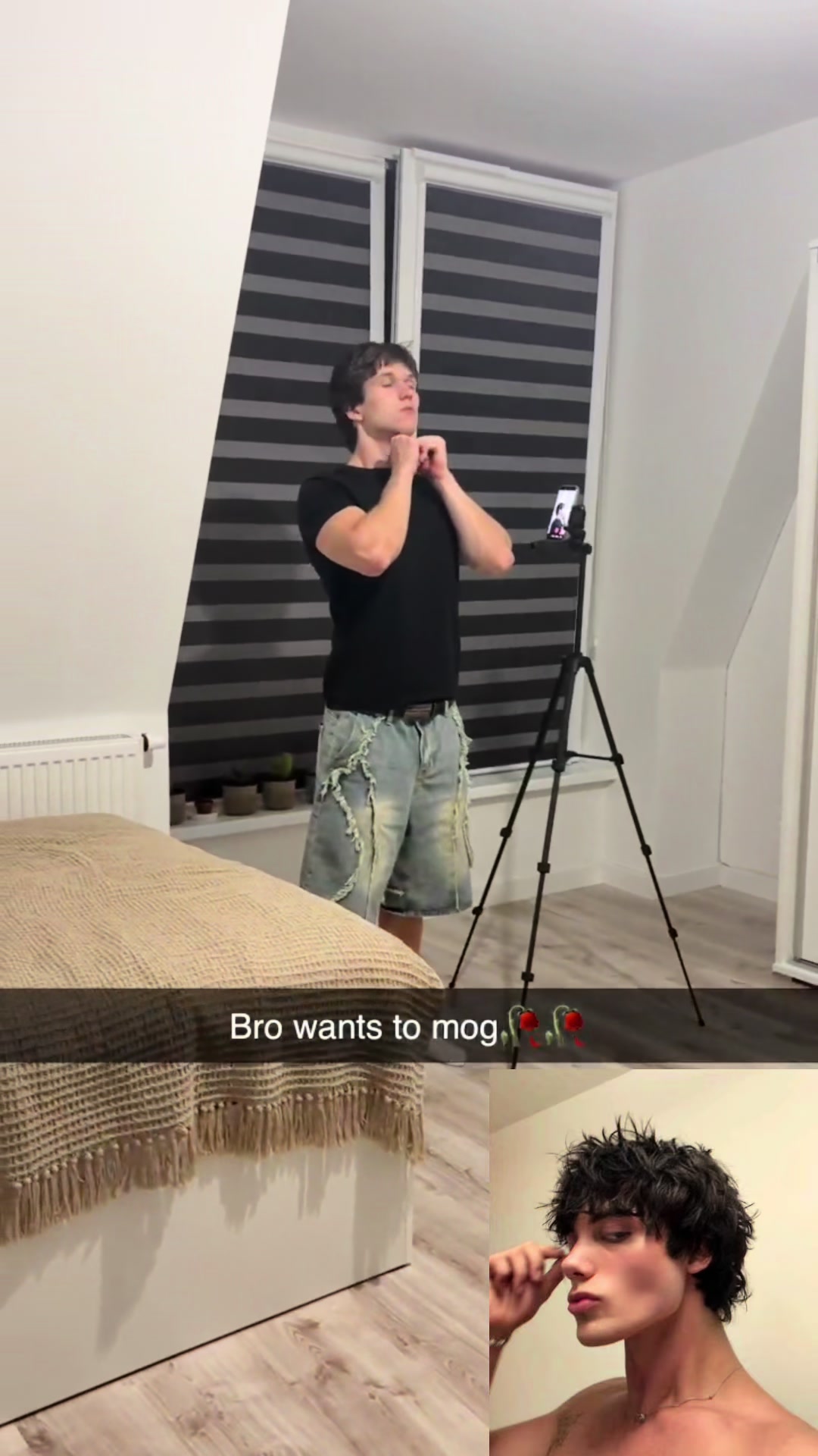 @senikro