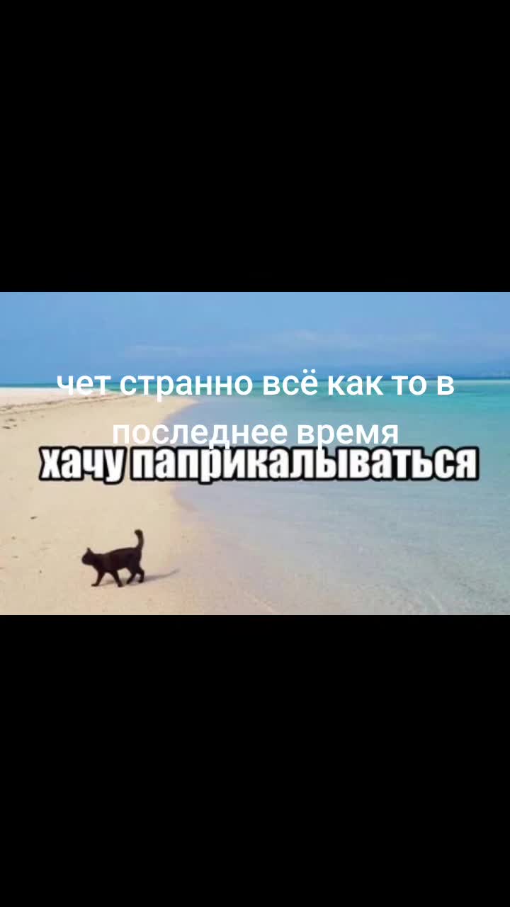 @1619