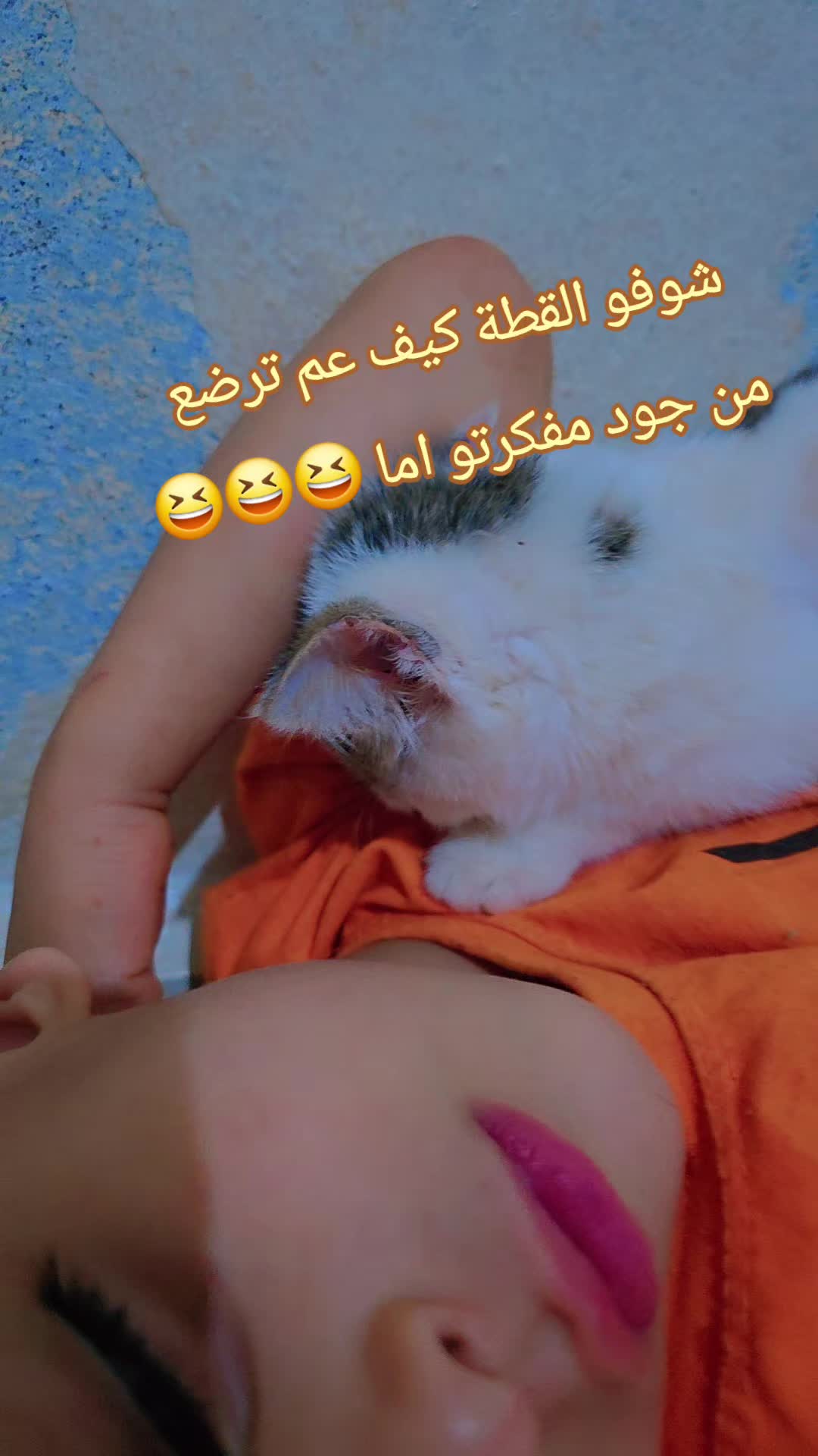 @🌸🌱عائلة لموشي lmosh🌱🌸
