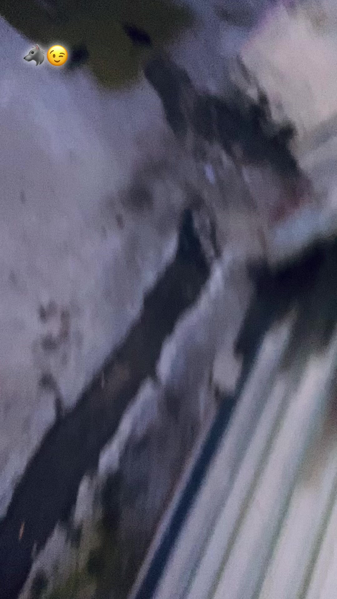 @🐺
