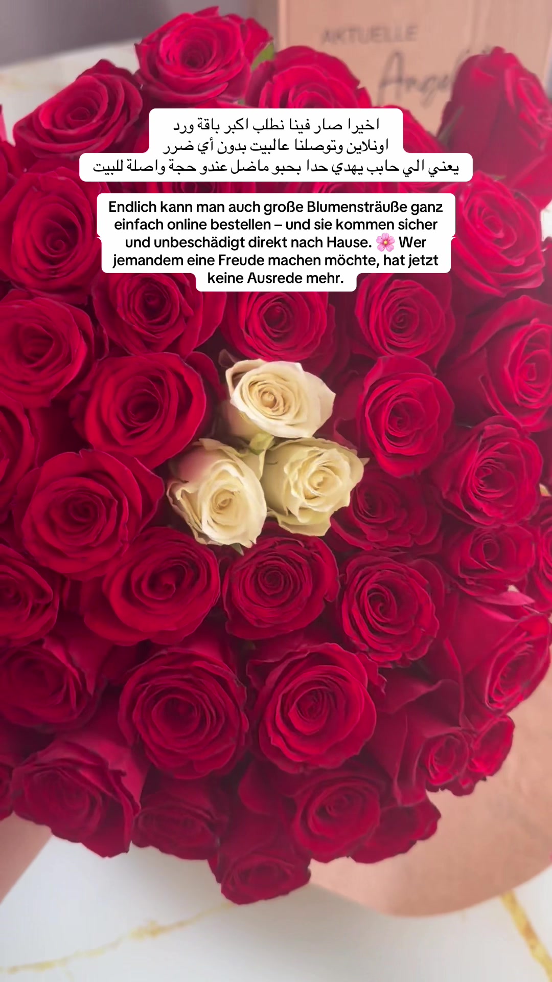 @Hana Haus | بيت الهنا