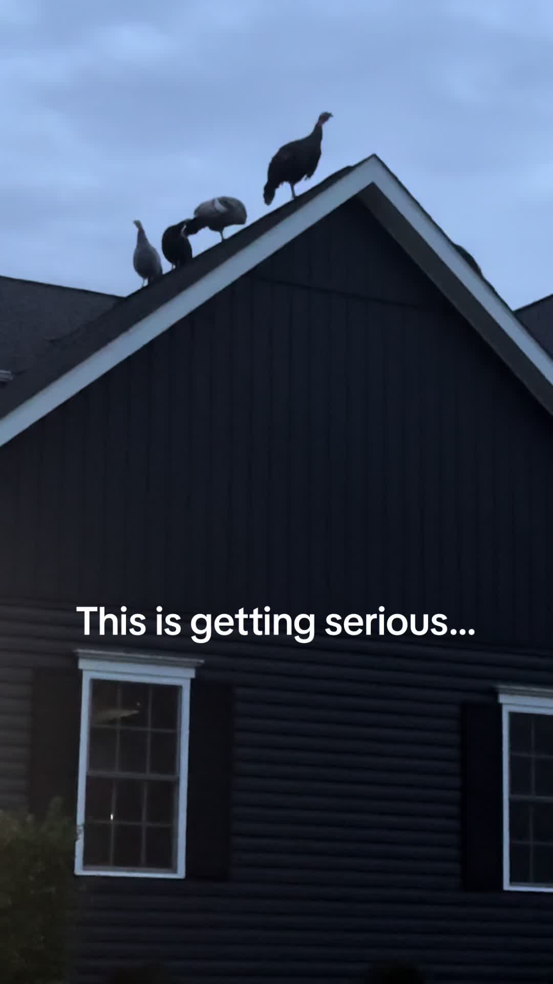 @Sarah