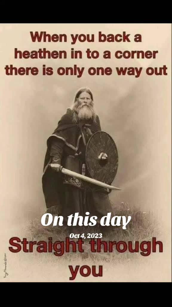 @Old man Berserker🪓&Uacute;lfheđnar