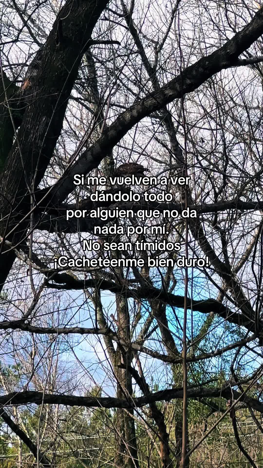 @Aracasta