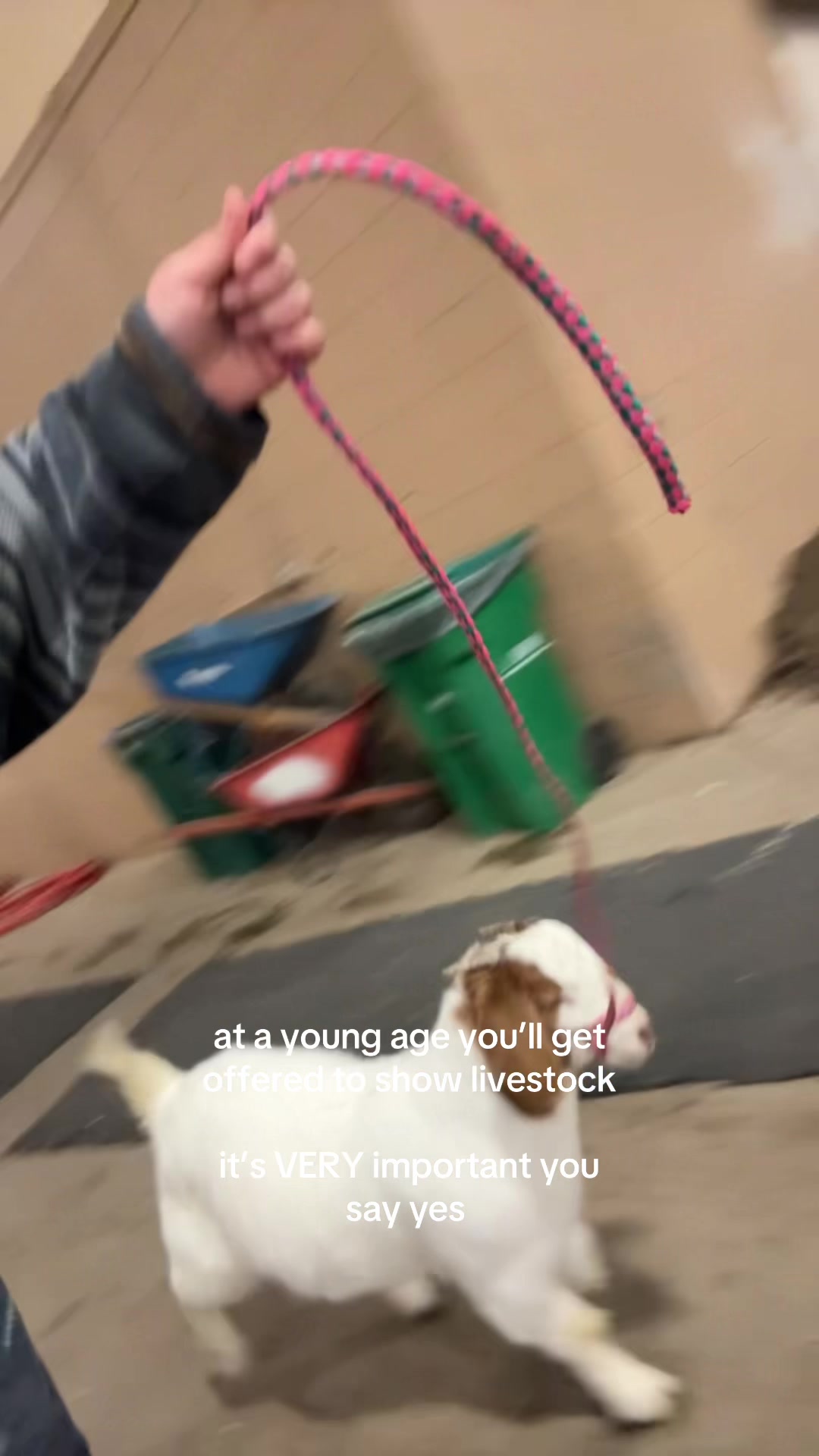 @Justine Reese