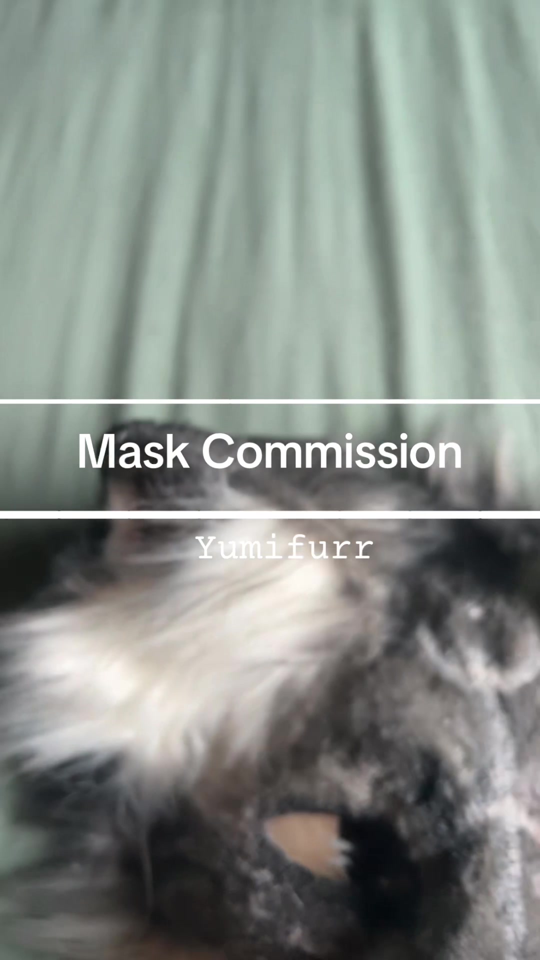 @yumifurr🌀🐾❄️
