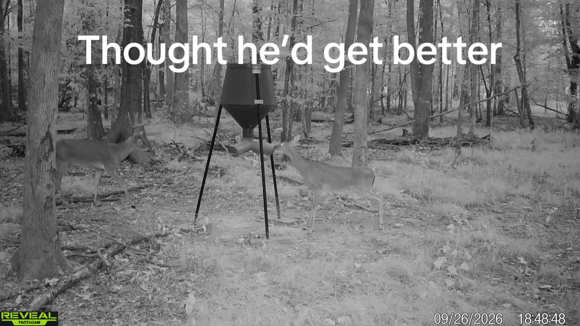 @Toi Batton_GIGI_WTBuckOutdoors