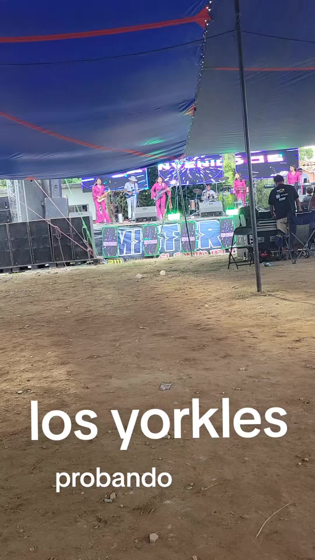 @lucymanzano