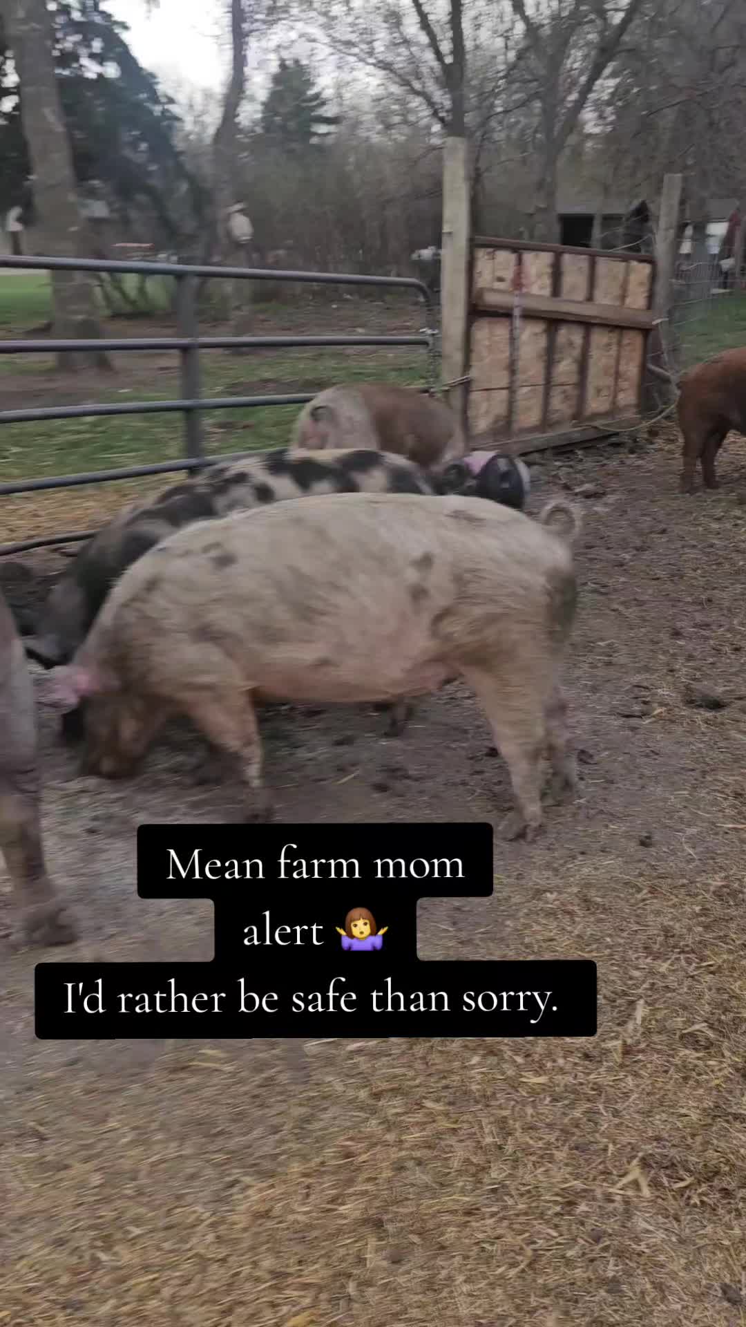 @Dakotafunnyfarm