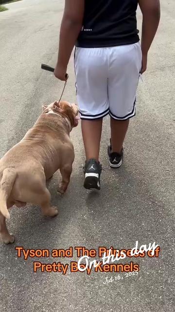 @prettyboykennels