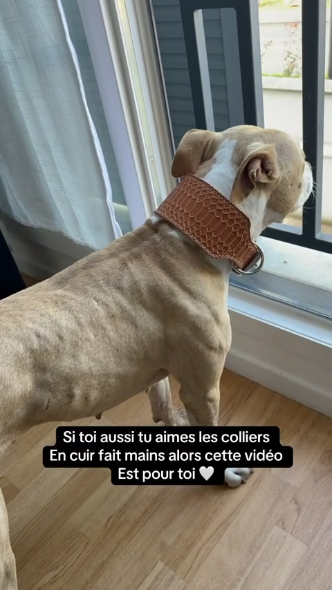 @kiara_isis_apbt