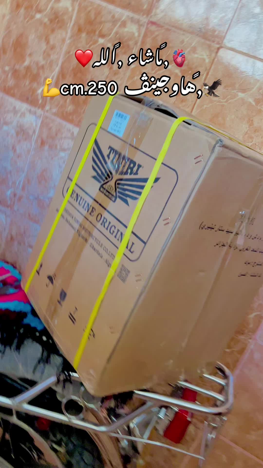 @🦅,ًشيكور ,ًالطريق🦅