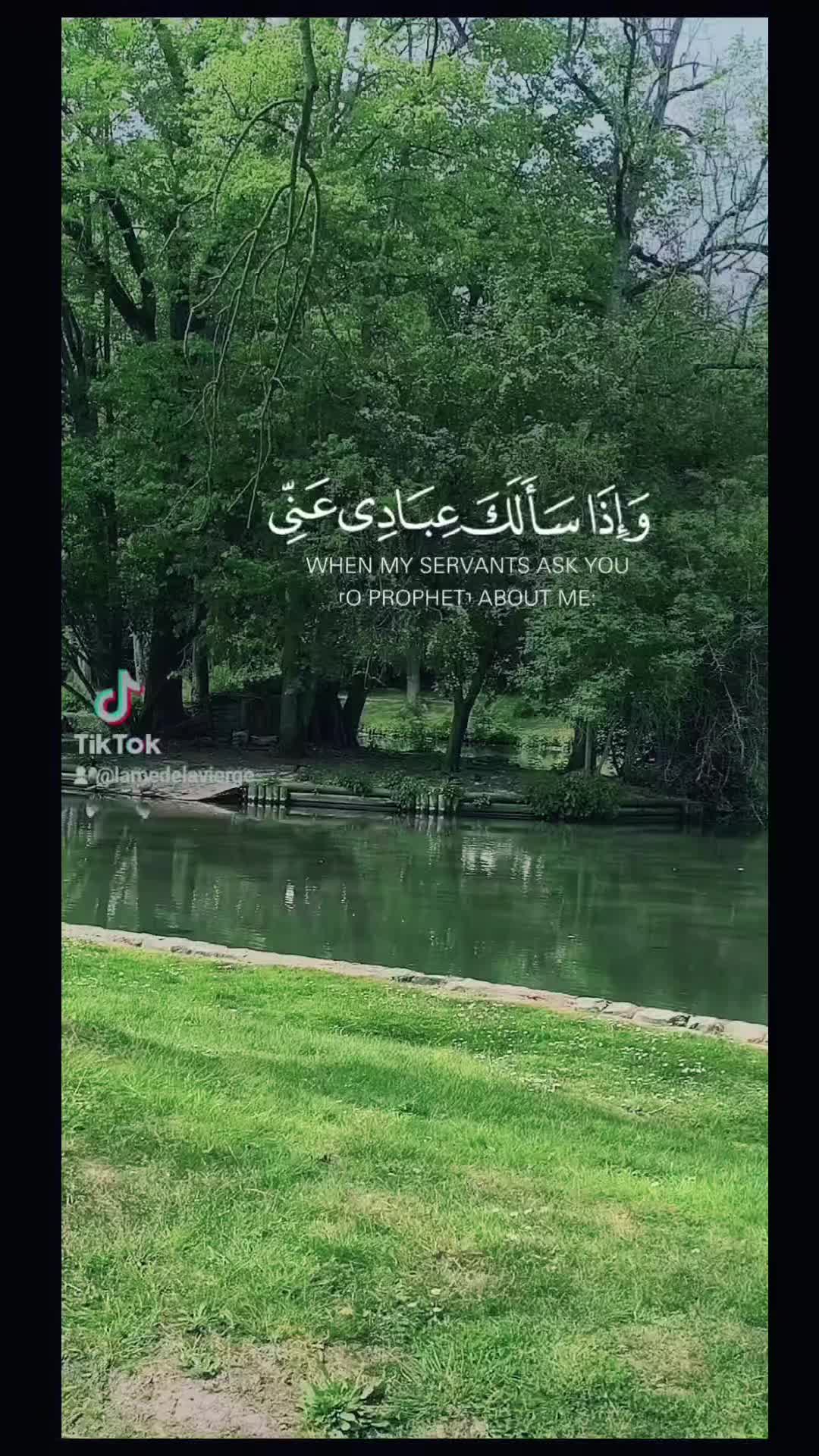 @𓆩🖤 وقــار 𝑾𝒂𝒒𝒂𝒓 🖤𓆪🌸