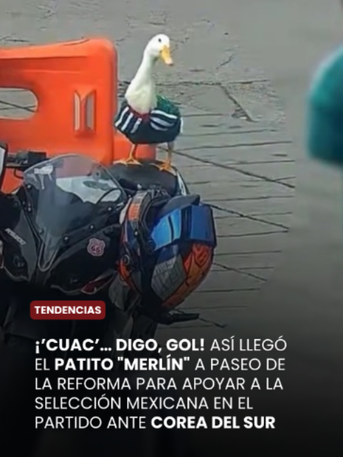 @La Crónica de Hoy