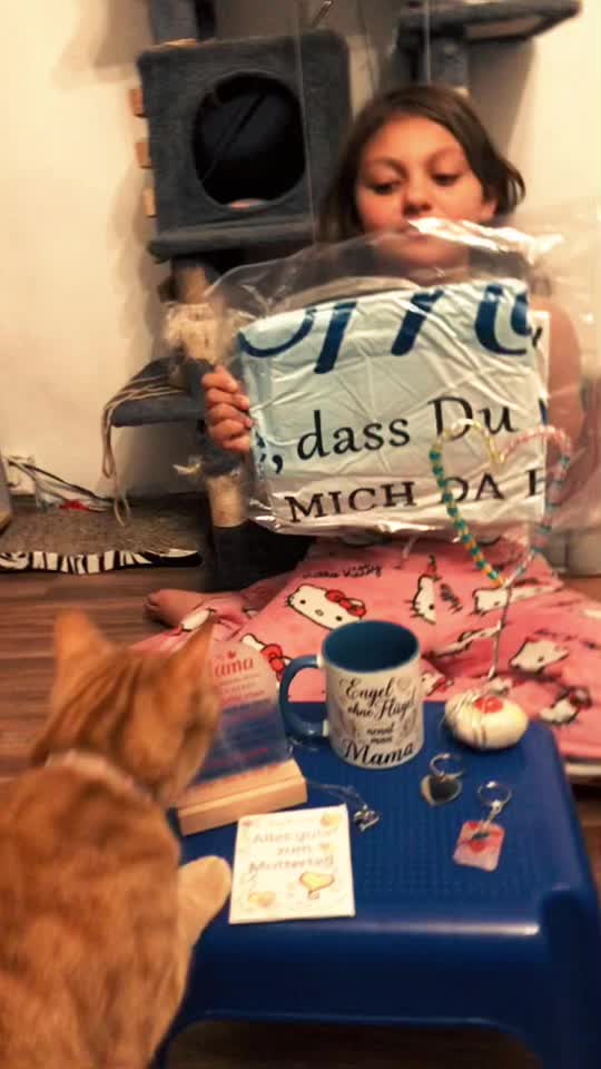 @Cat 💙