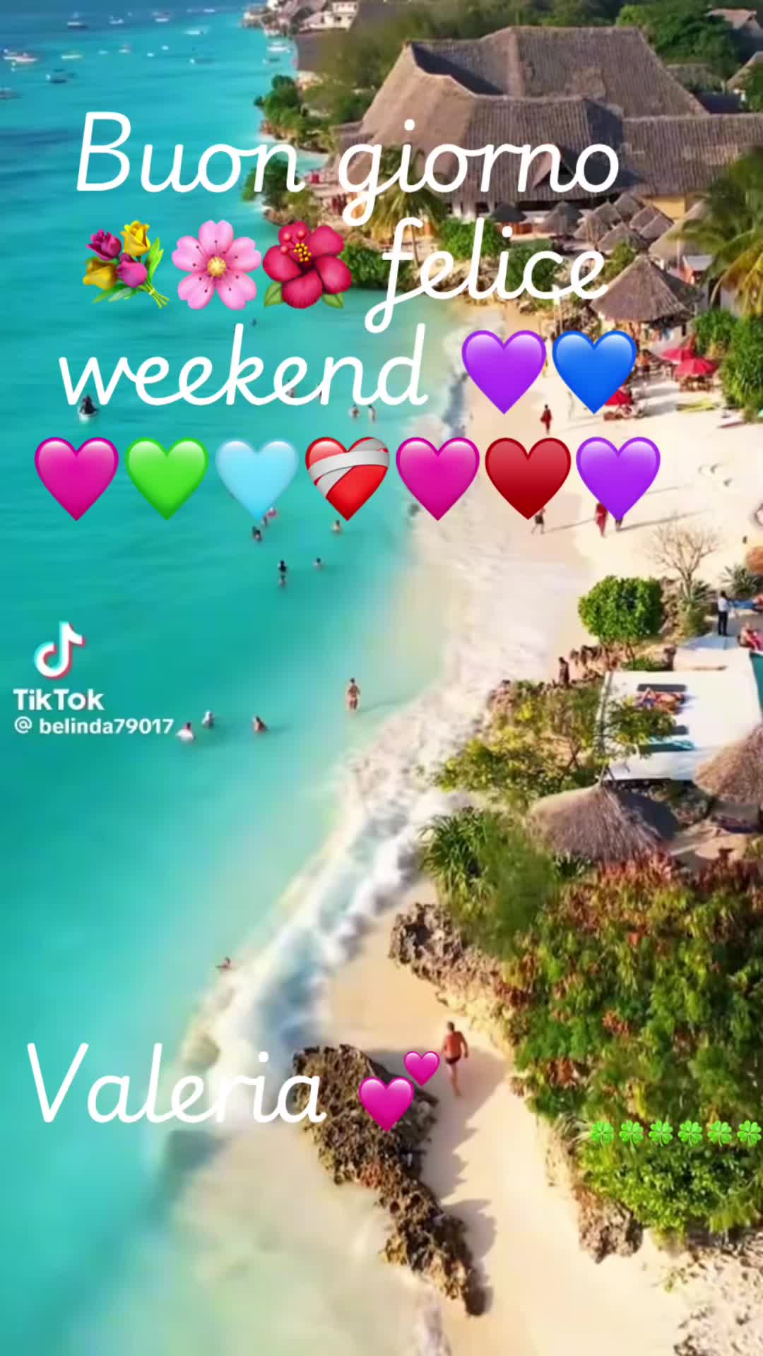 @valeriaevangelis840