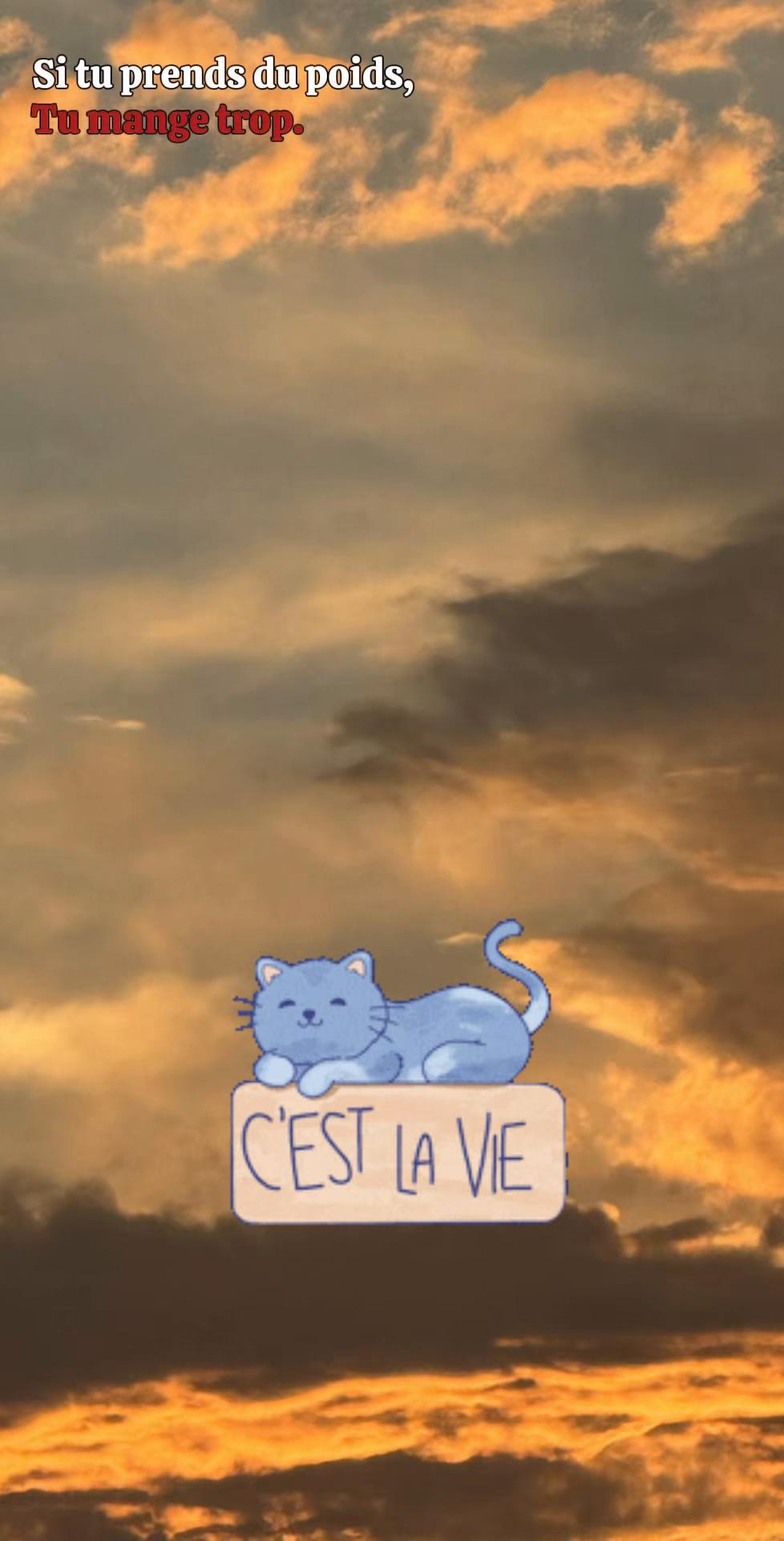 @Catcat