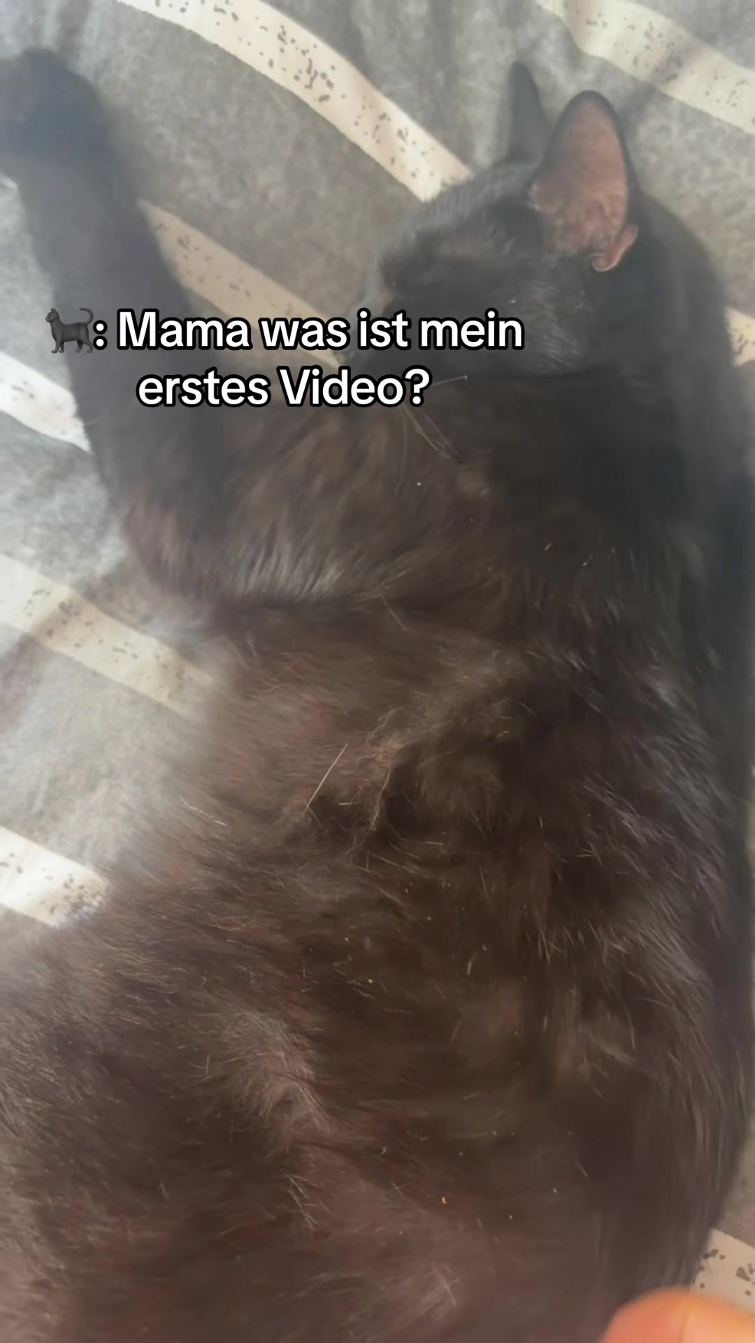 @Sissy 🇩🇪🦅