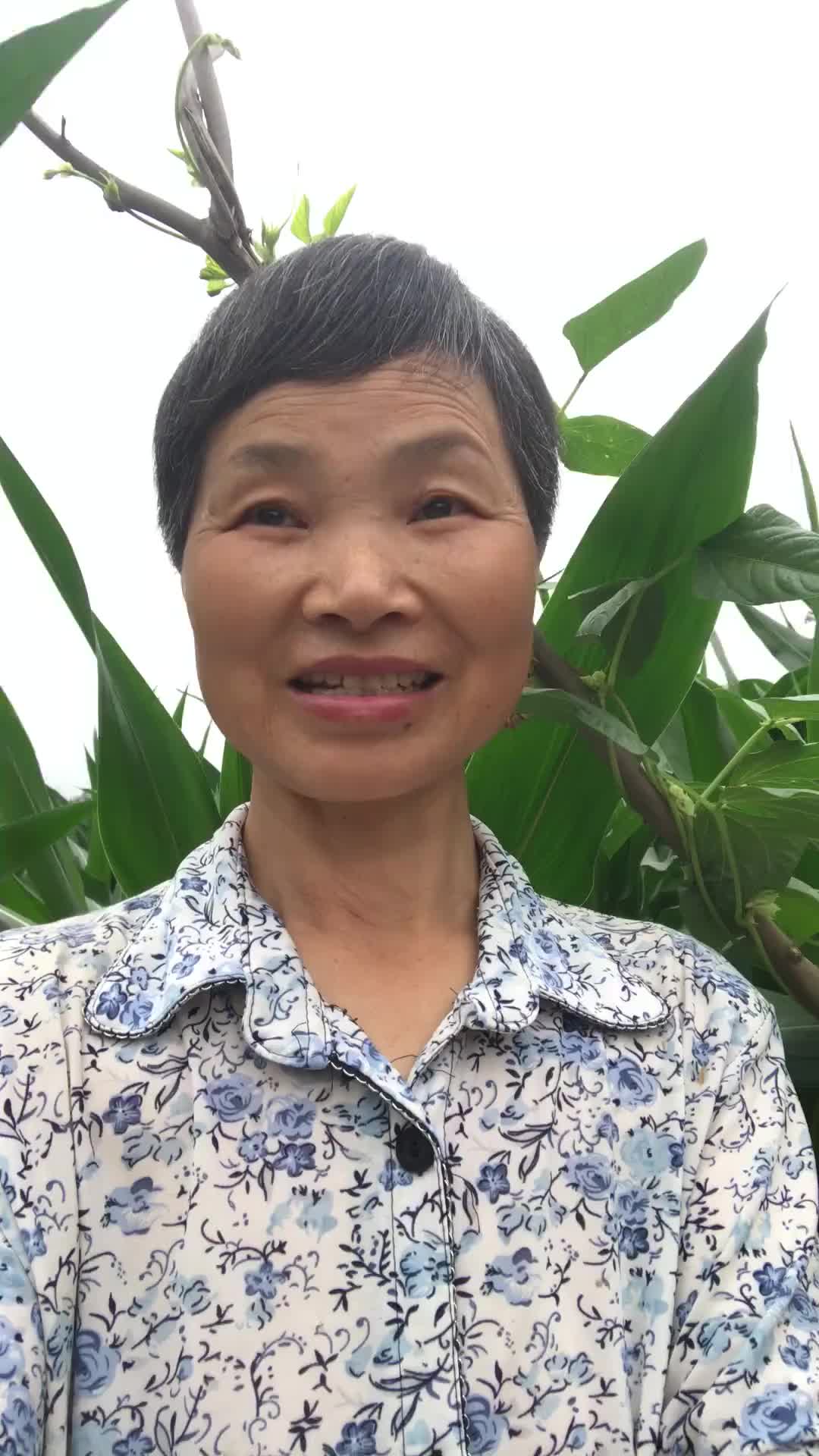 @grandma yan