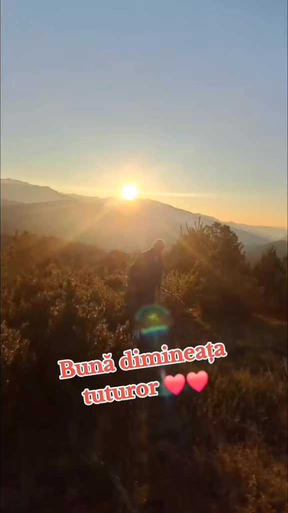 @Aurel  Anghelus_22