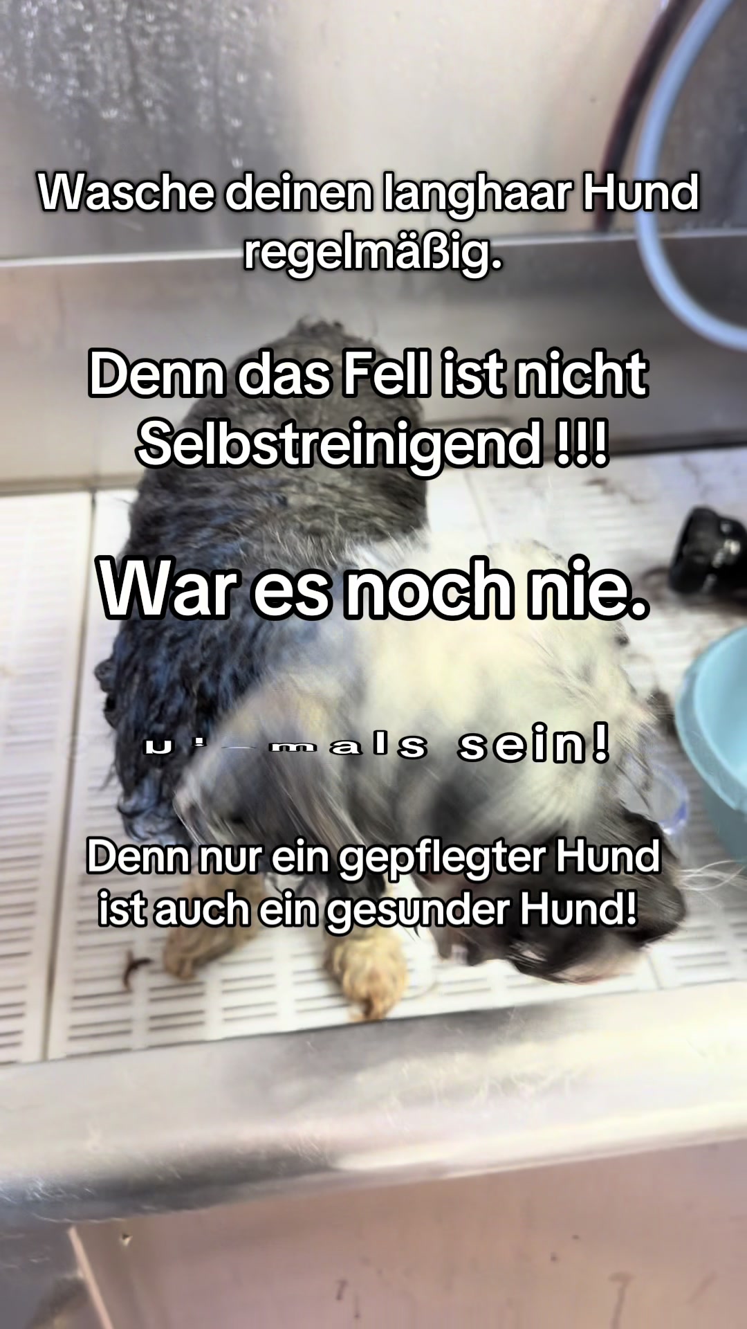 @Eliza in Germany