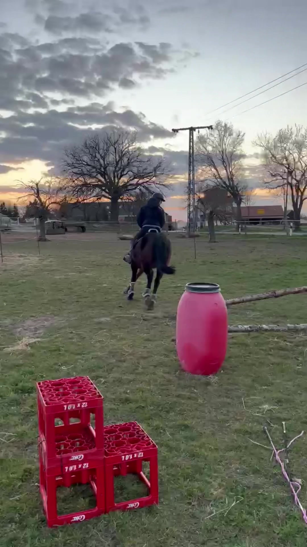 @springpony_donar