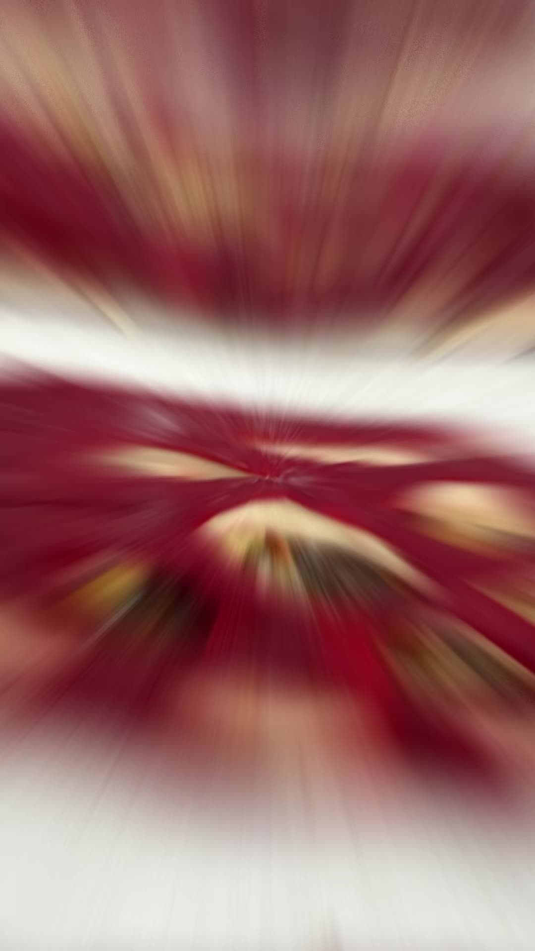 @Silvia Licata