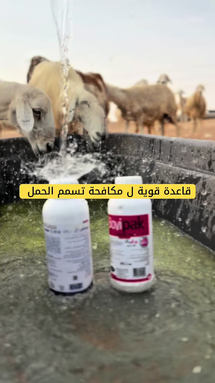 @ترند المربي-خالد المزيني