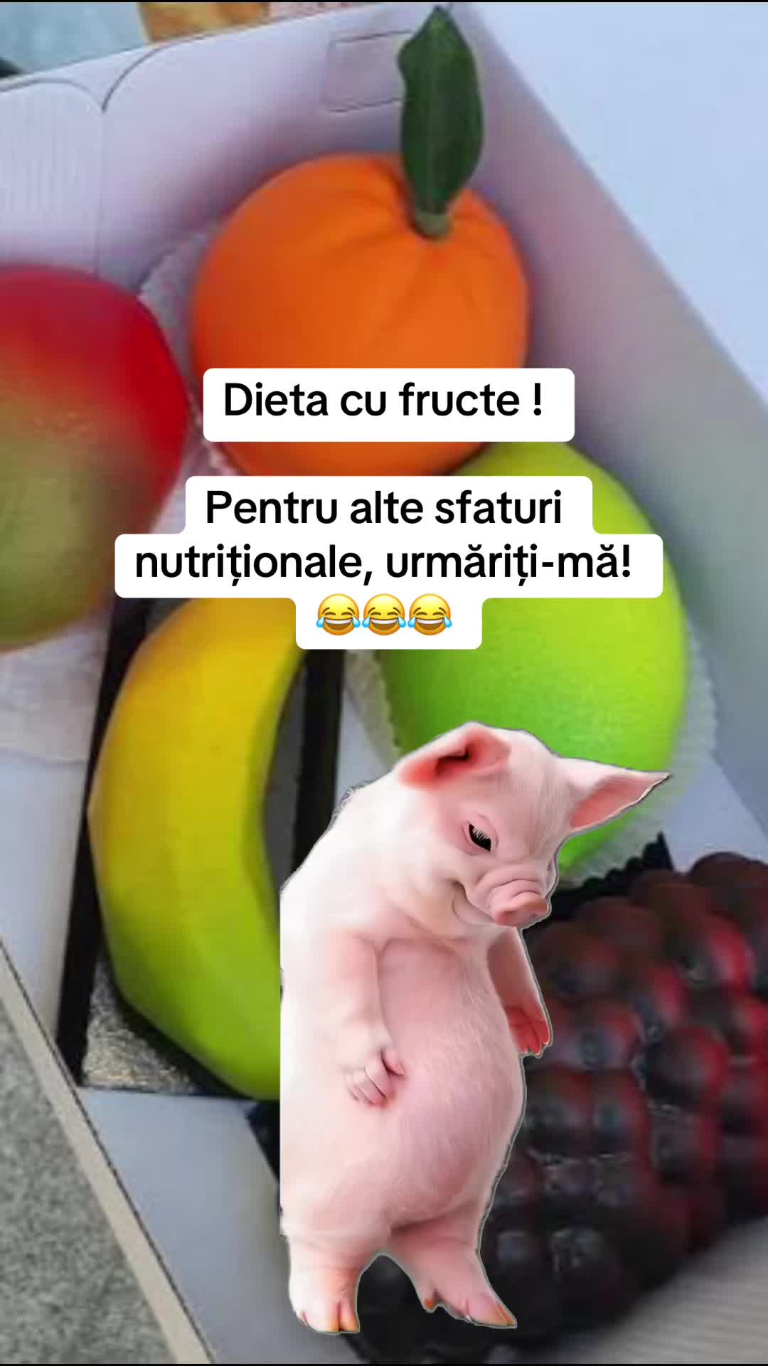 @Maria Mihaela