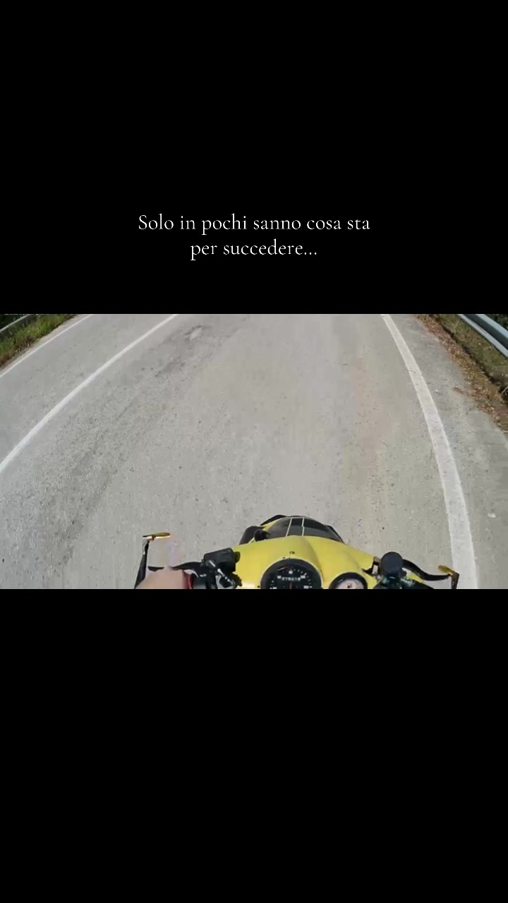 @CanePazzo1994 ( il ritorno )