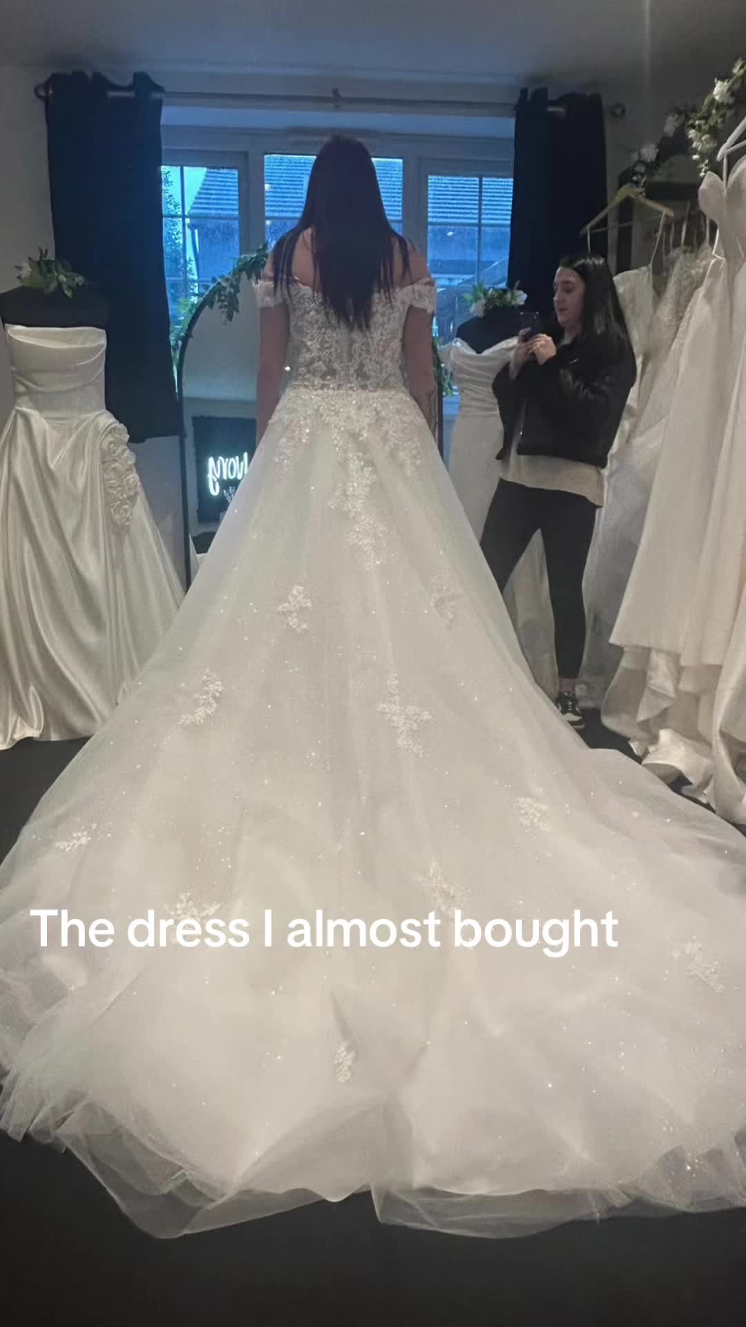 @Molly parry/wildcrown owner👑