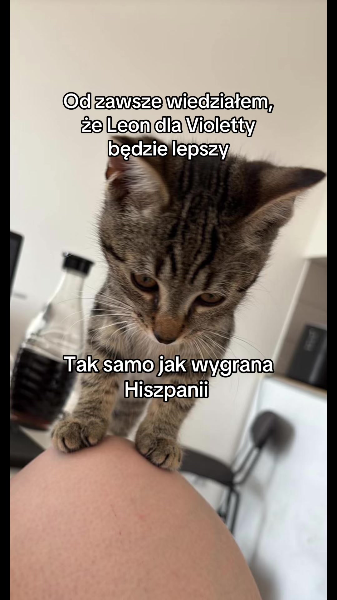 @pan_pyzek