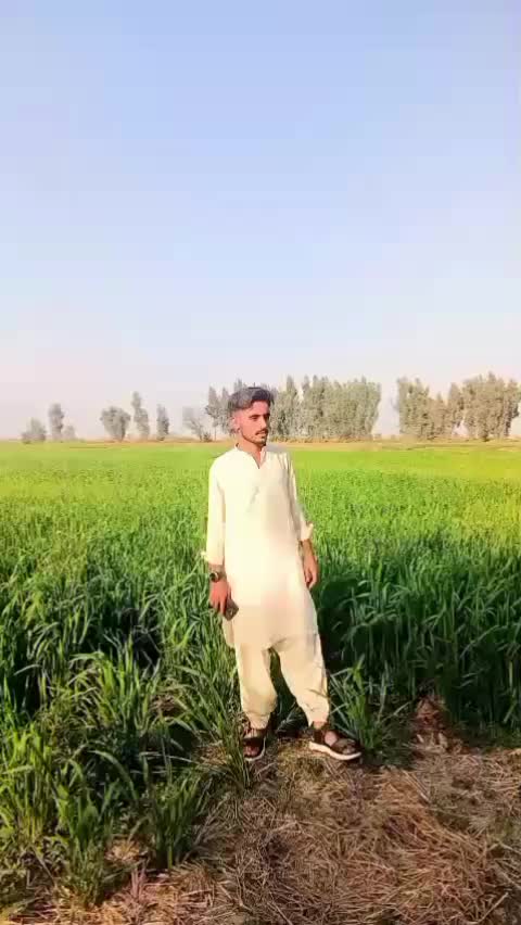 @shakeelbaloch534