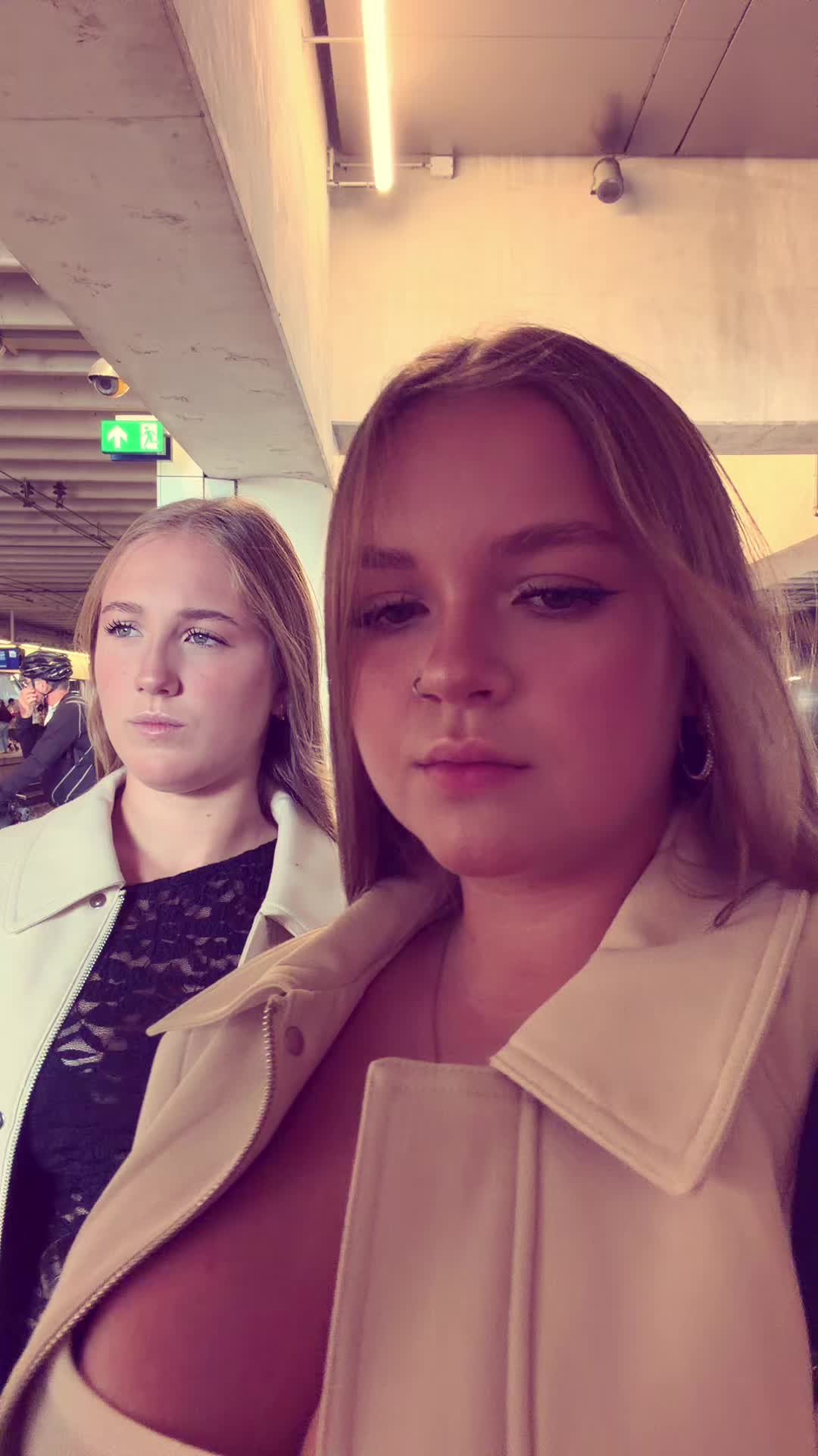 @hamsters