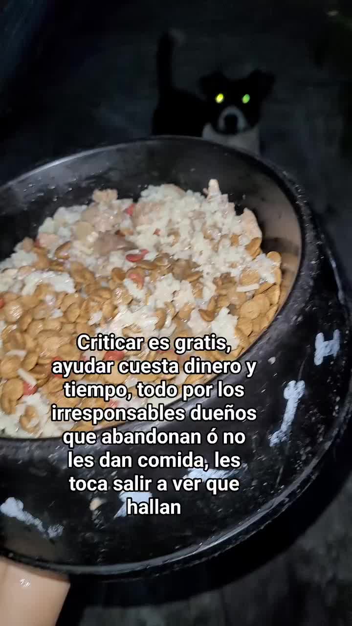 @𝕃𝕚𝕤𝕤 ℝ𝕖yes🇸🇻