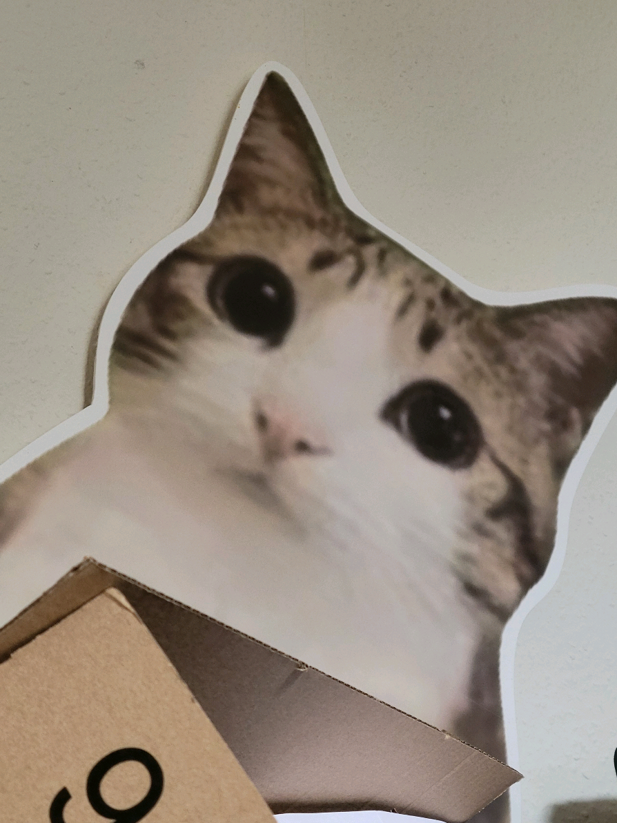 @sally punpun