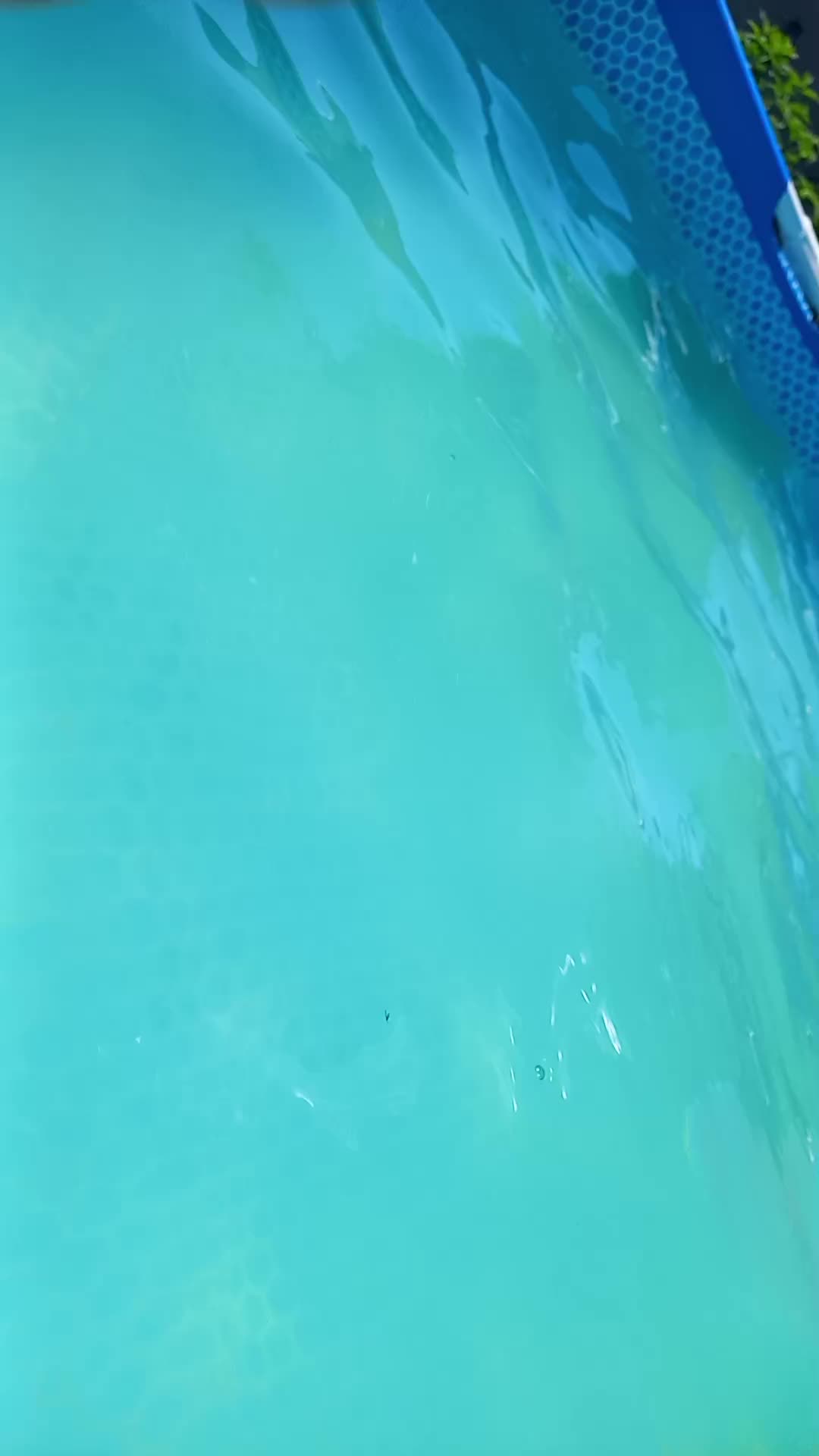 @🦚🆃𝓲𝓮𝓻🅿𝓪𝓻𝓴🆃𝓸𝓴🦚