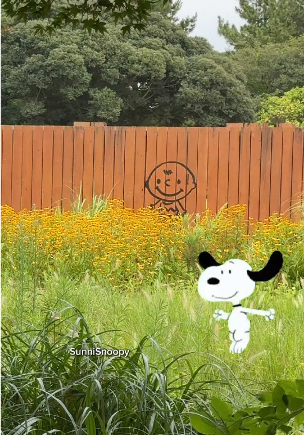 @SunniSnoopy | PEANUTS