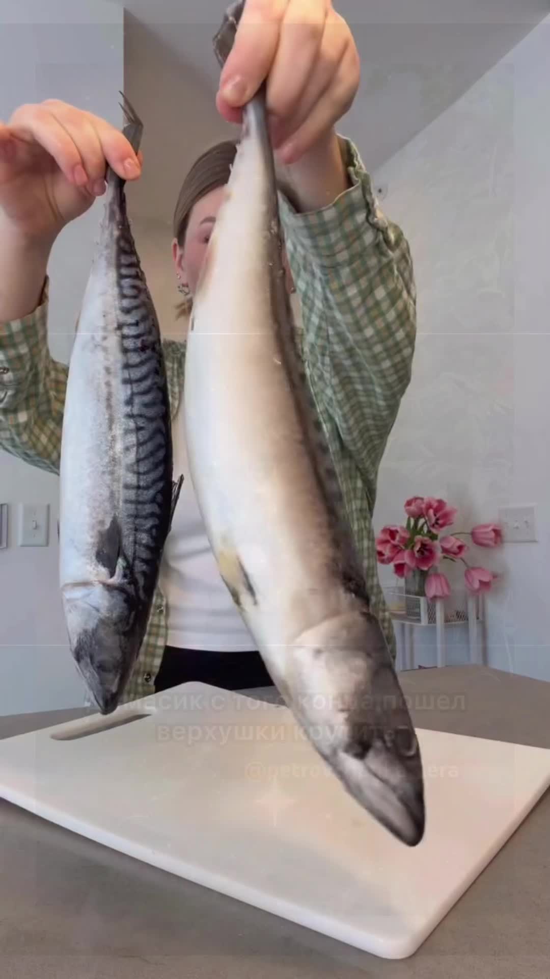 @Kroxayumy93