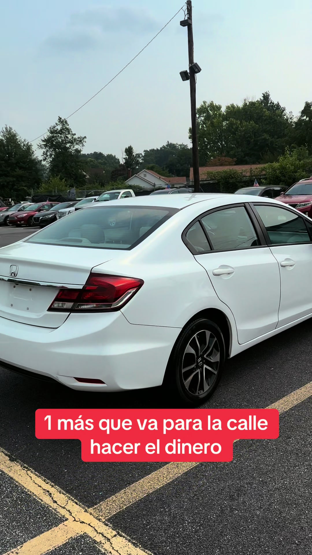 @estarli18