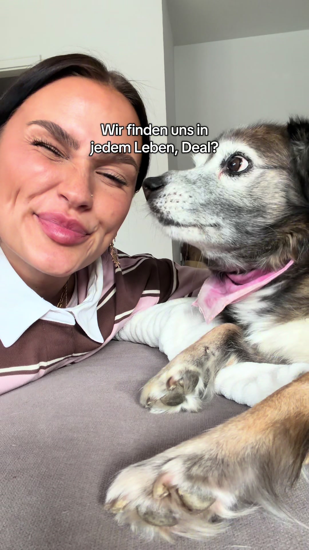 @celinihi
