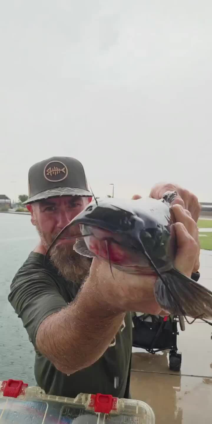 @Your Tiktok PAPA!